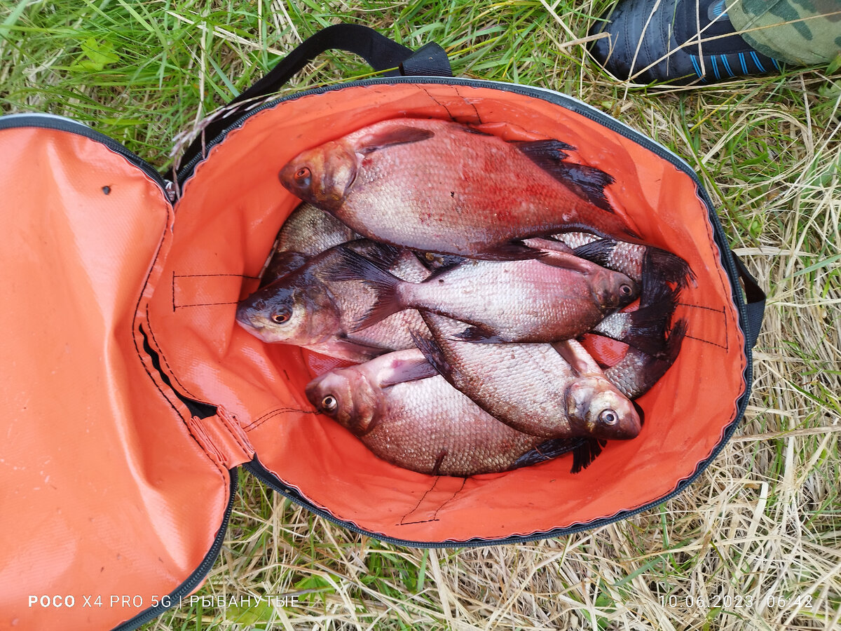 Рыбалка на вышневолоцком водохранилище - лучшие места и советы для рыбаков