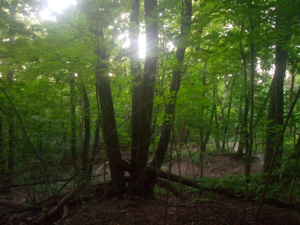 Фото автора 