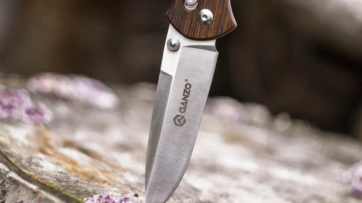 Фото: Pexels.com