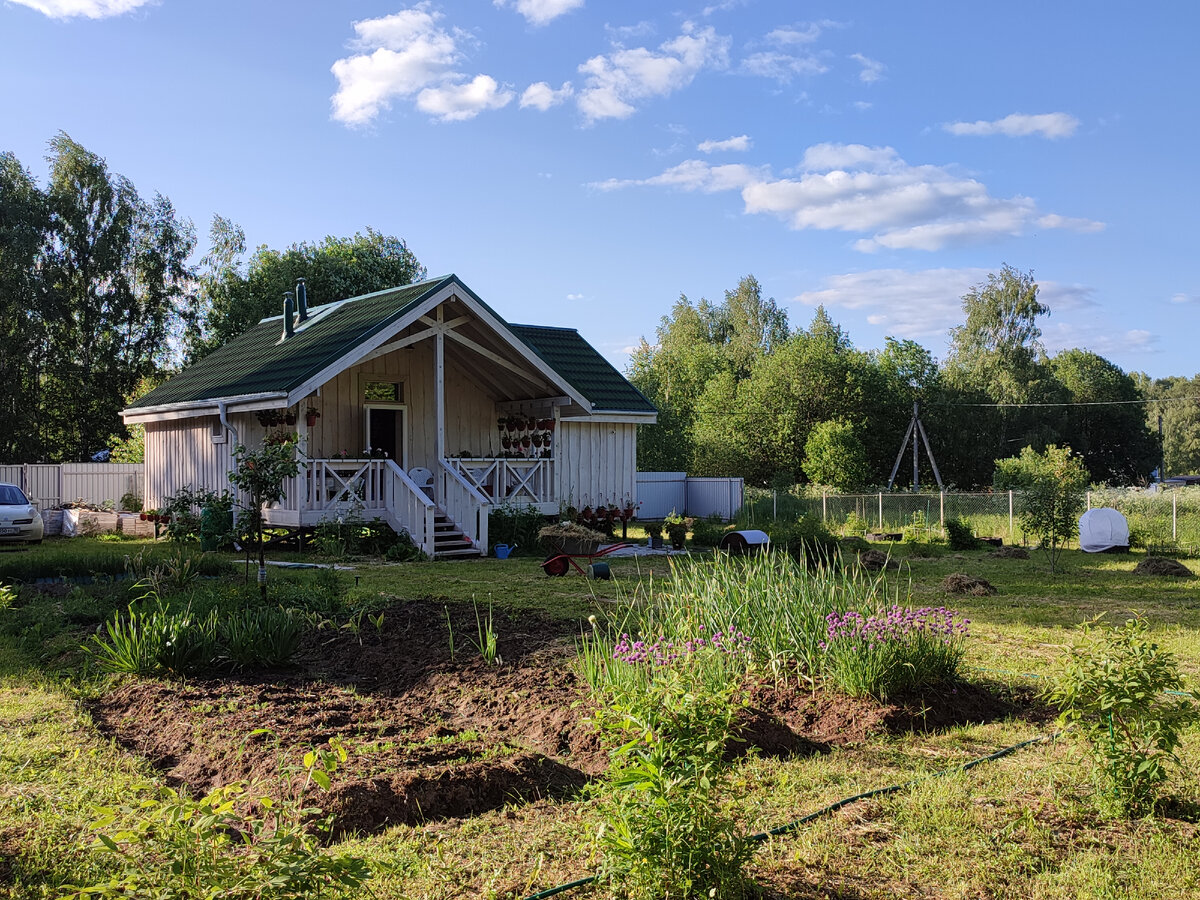 Наконец-то стали видны мои посевы :) 
