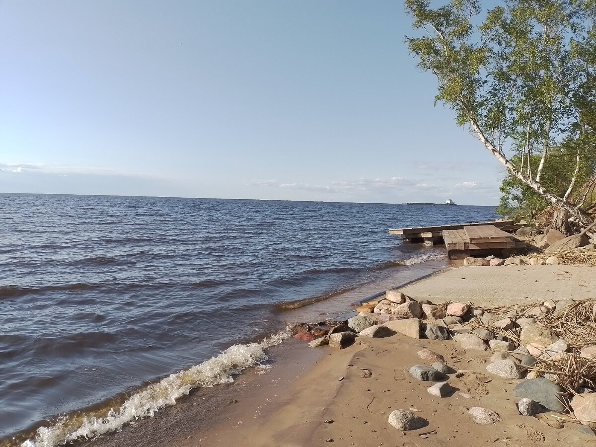 Отдых с палаткой на Рыбинском море: где можно стоять дикарем и есть ли ...