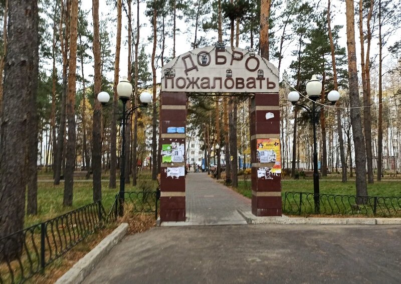    Жители одного из районов Воронежа пытаются справиться с нашествием искателей «закладок»