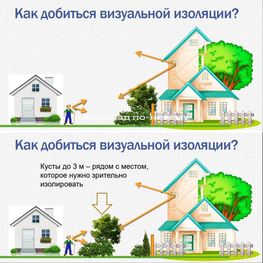 🙂Вечно больная тема - как закрыться от соседей | Сад по-новому. Школа  ландшафтного дизайна Натальи Мягковой | Дзен