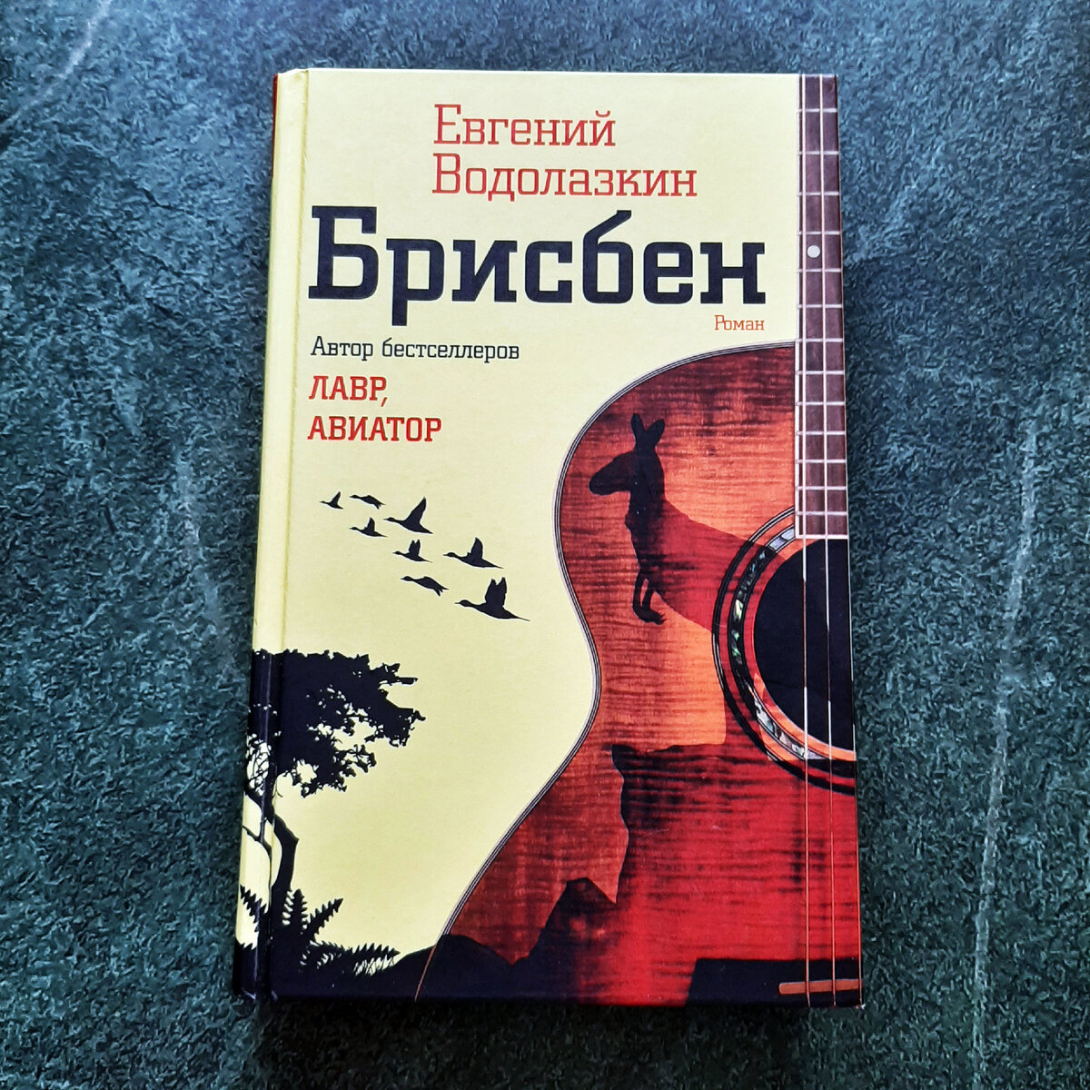 Брисбен Водолазкин. Брисбен Водолазкин книга.