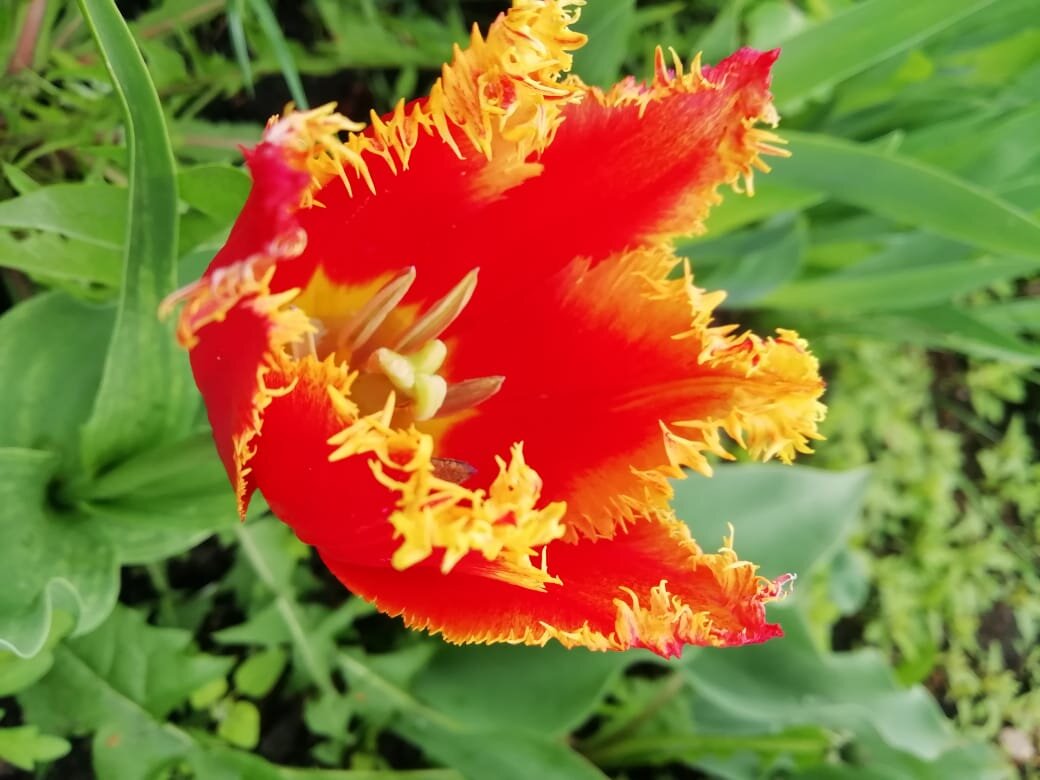 Фото Надежды Поповой