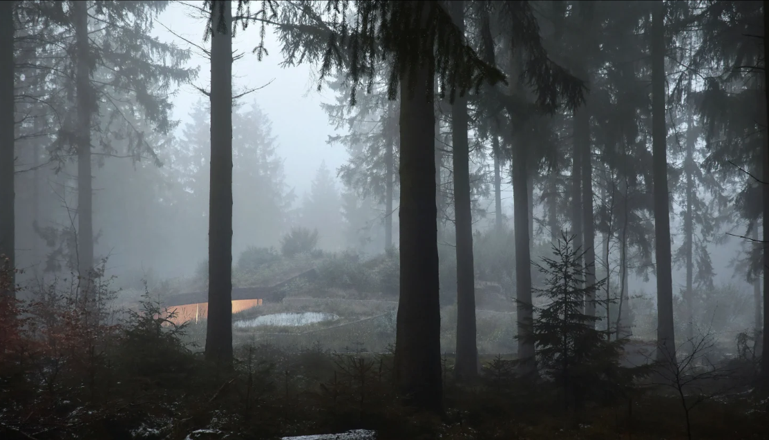 Остров Воллебак. Фото из открытых источников.