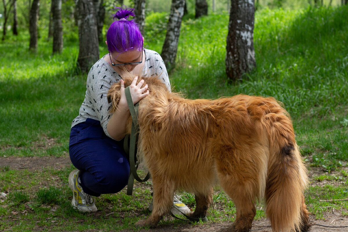 Обнимашки нужны всем: и собакам, и людям.