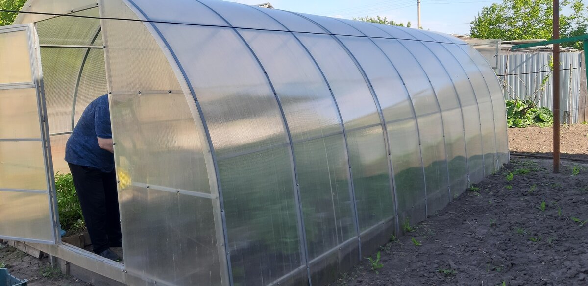 Фото соседской теплицы