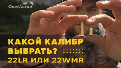 Какой калибр выбрать: 22lr vs 22 wmr?!