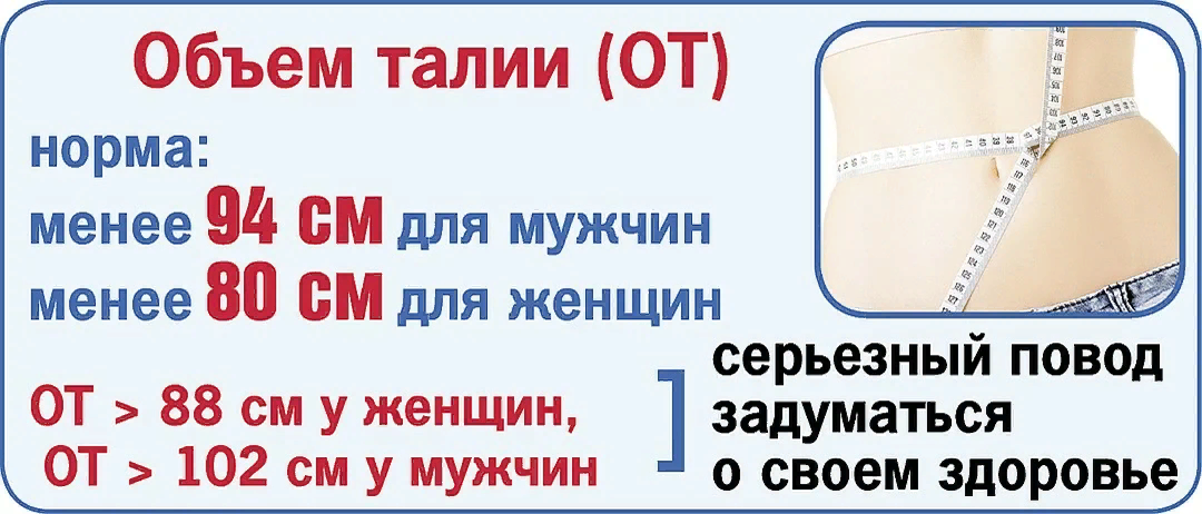 Объемы и нормы. Висцеральный жир норма талии. Нормы объема талии у мужчин и женщин. Окружность талии. Норма окружности талии у мужчин и женщин.