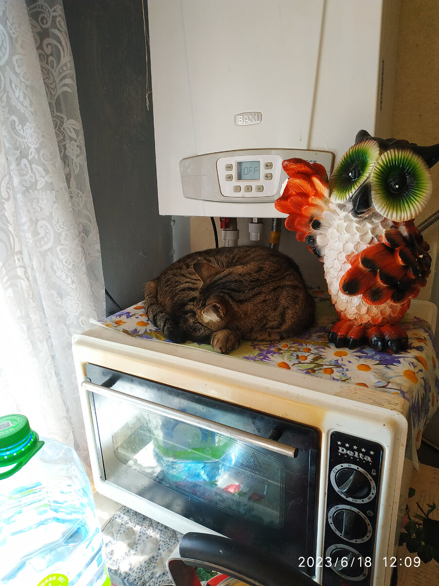 Лиза