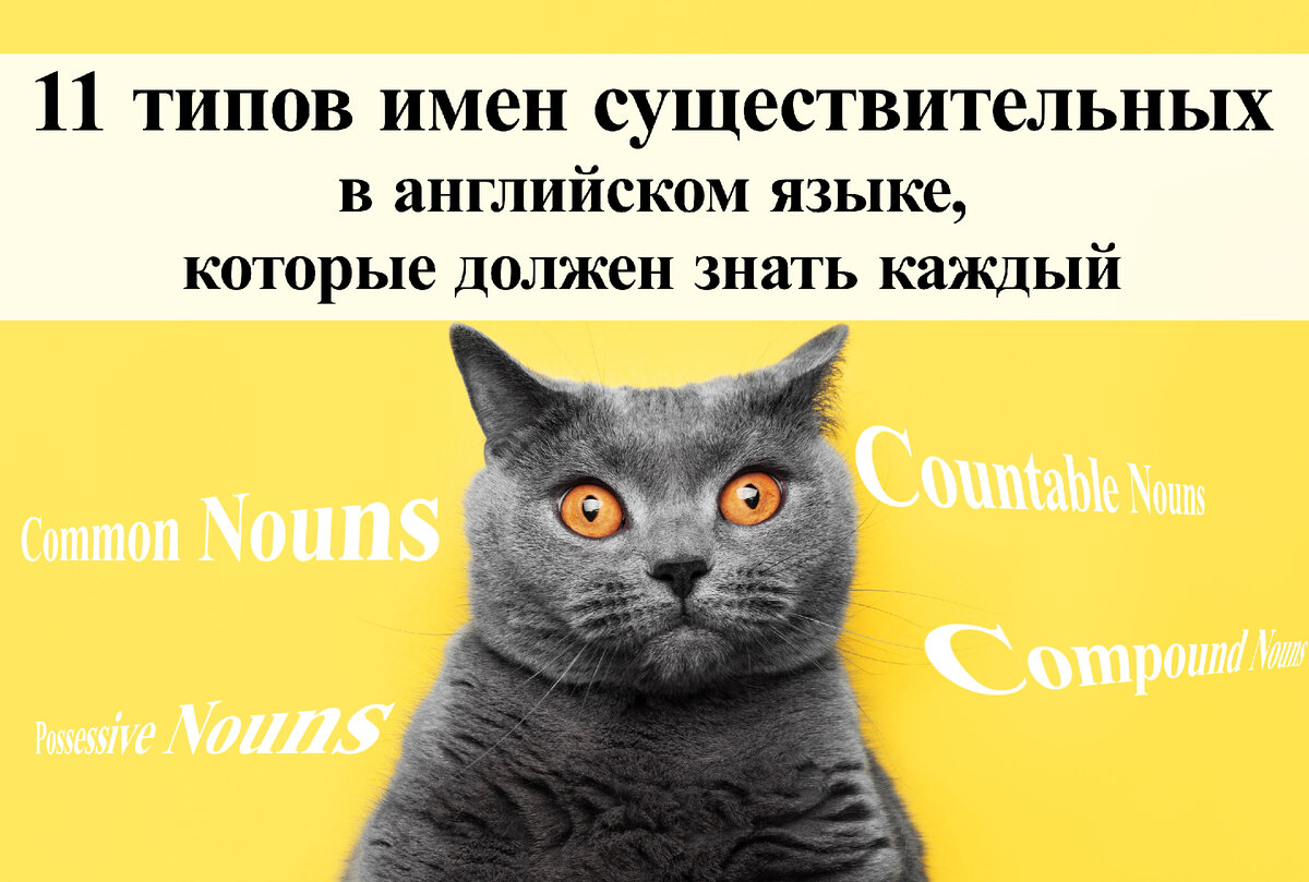 Здравствуйте, уважаемые читатели! На связи снова English Cats! Сегодня мне бы хотелось остановиться на некоторых особенностях, которые отличают одни имена существительные от других в английском языке.