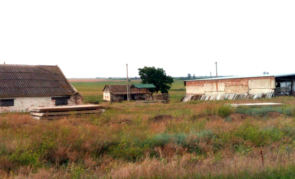 Домик чабана. Из изменений за 50 лет только навес из профнастила.