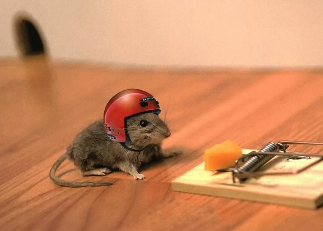 Притча про мышь и мышеловку 