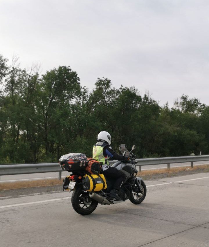 Фото Лисы по дороге из Шымкента в Узбекистан