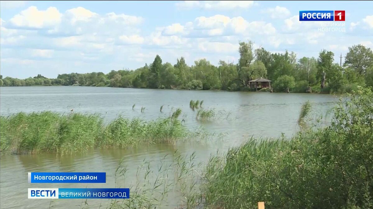 Рыбоводческий водоем 5 букв. Деревня Болотная Новгородский район. Деревня Кунино Новгородская область на карте.