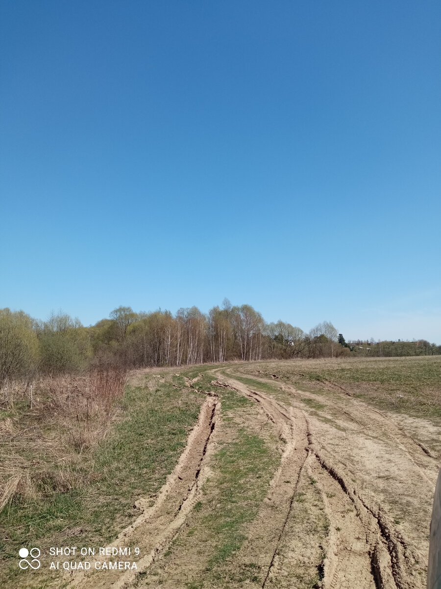 Встанут утром и топают по дороге ( галерея автора) 