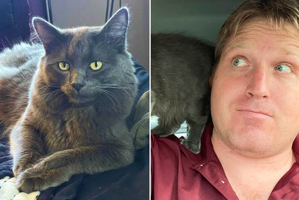     Фото: Alecanewman / TikTok