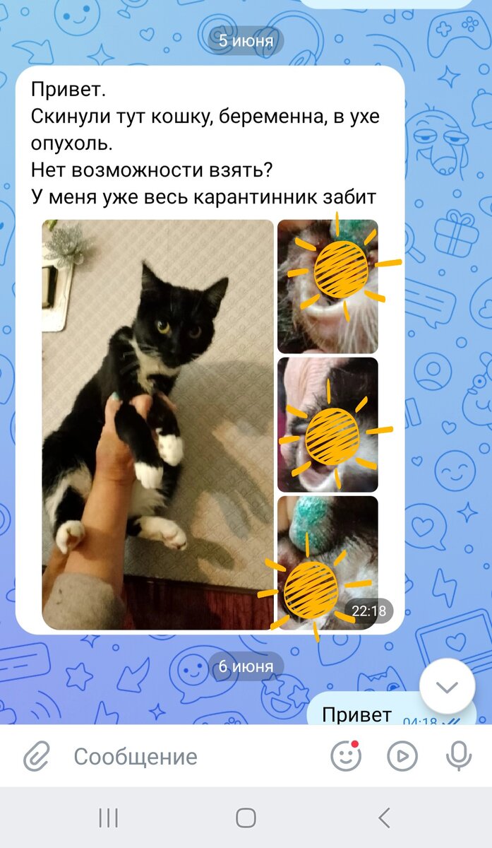 Фото автора. Вот с такого сообщения началось наше знакомство.