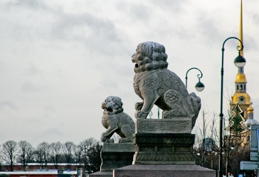 Село львы. Львы ши-цза на Петровской набережной. Китайские львы ши-цза на Петровской набережной. Ши-цза китайские львы-Стражи. Памятники львам Петровская набережная в Санкт-Петербурге.