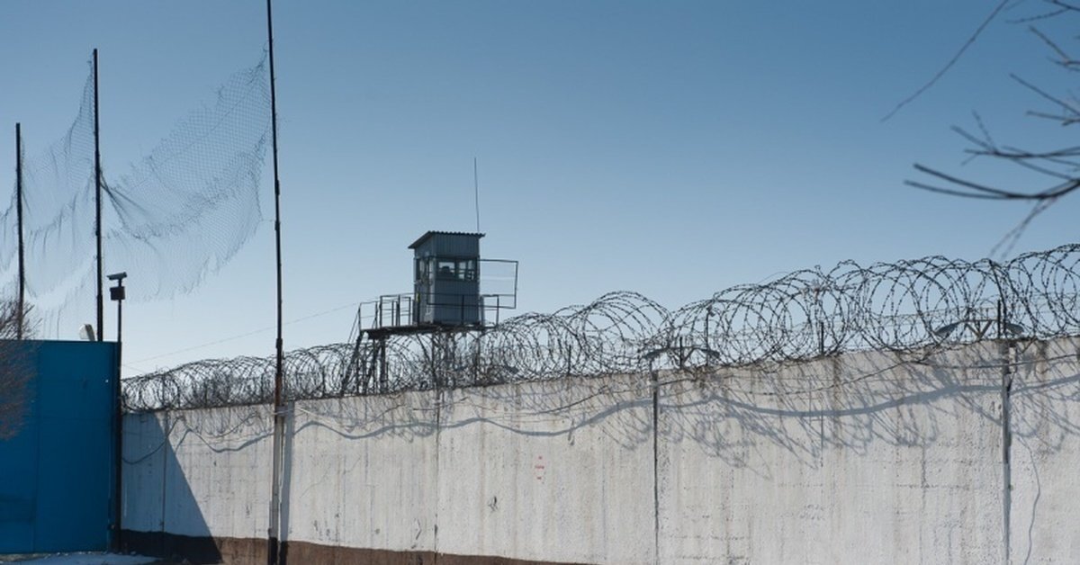 Источник Яндекс картинки