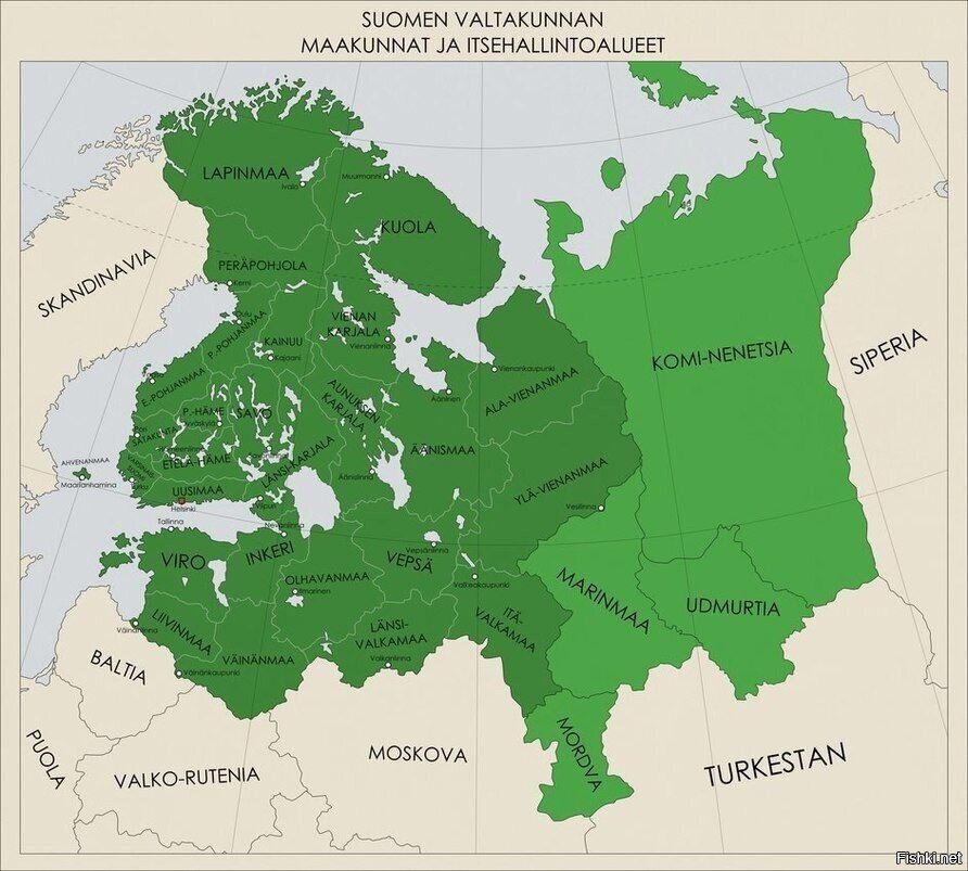 Зеленая карта для финляндии