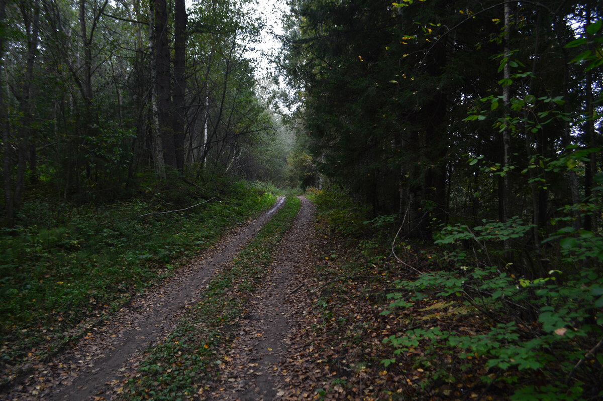  Настя подошла к остановке ближе к полудню. Летнее солнце уже вовсю пекло голову, и она поспешила надеть кепку. К своим 17-ти годам, ловить попутку для нее было делом обычном.-2