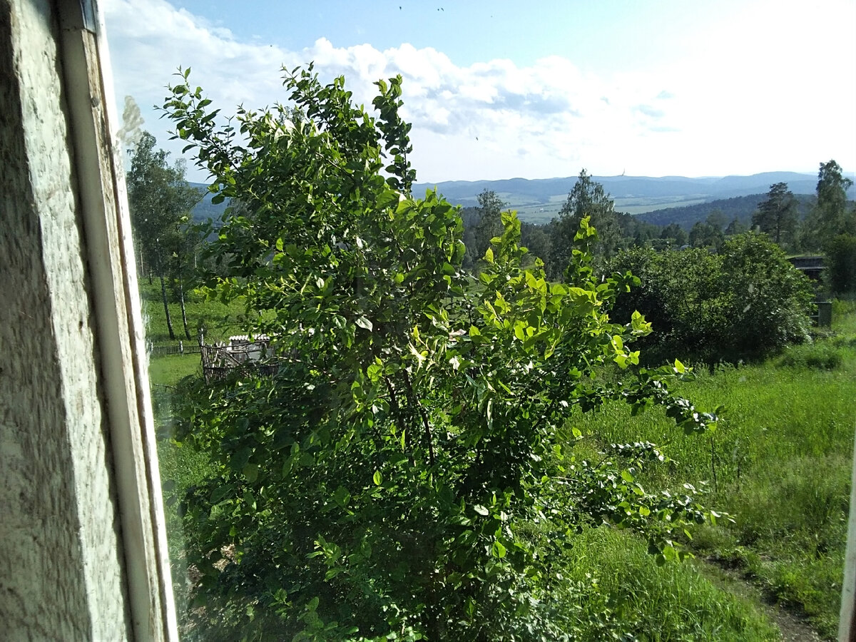 Не очень понятно, что там ветер, но он есть!😉