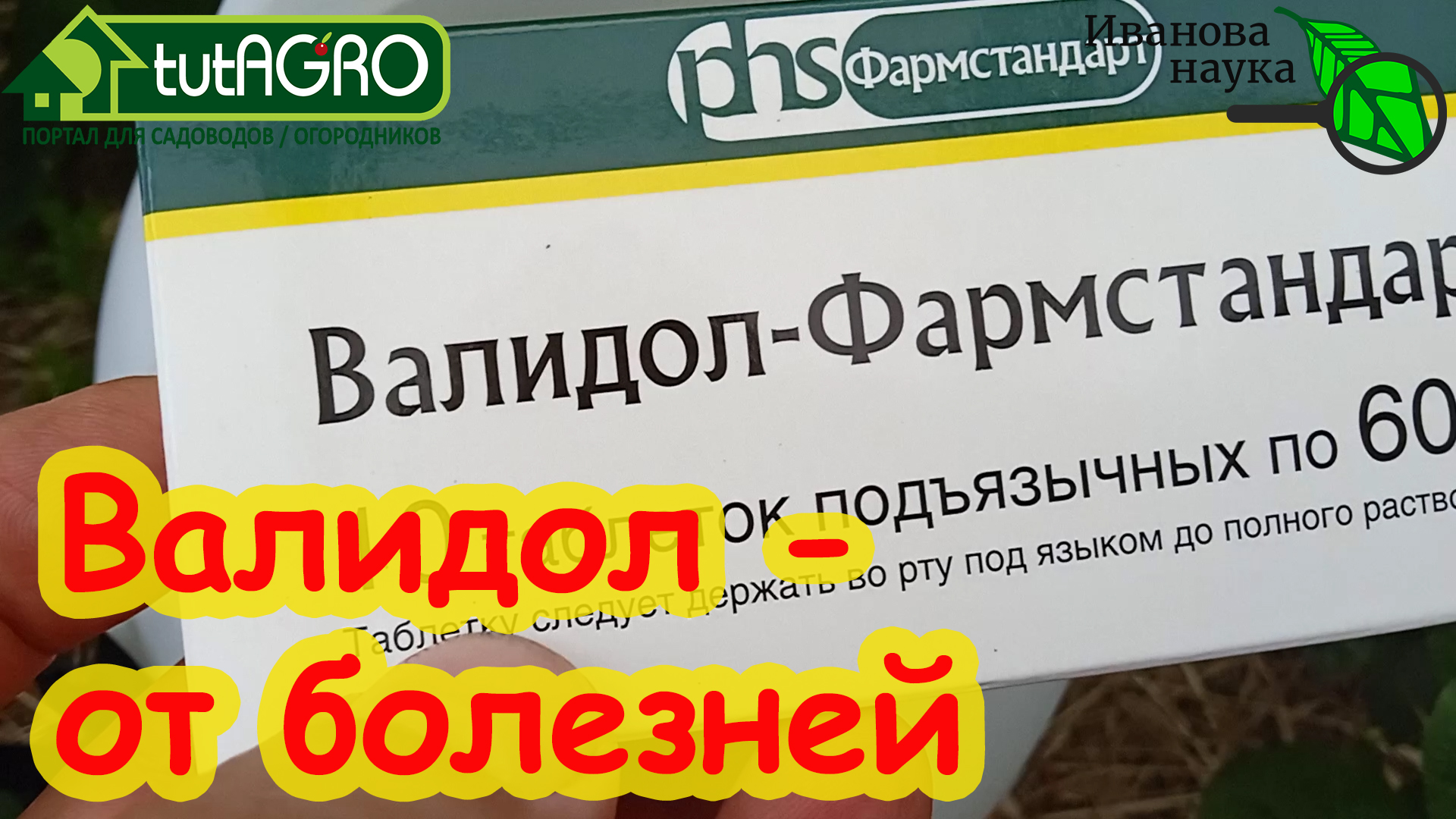 КАК ИСПОЛЬЗОВАТЬ ВАЛИДОЛ ОТ ФИТОФТОРОЗА и ПЕРОНОСПОРОЗА. + ответы на  вопросы. Краткая версия.