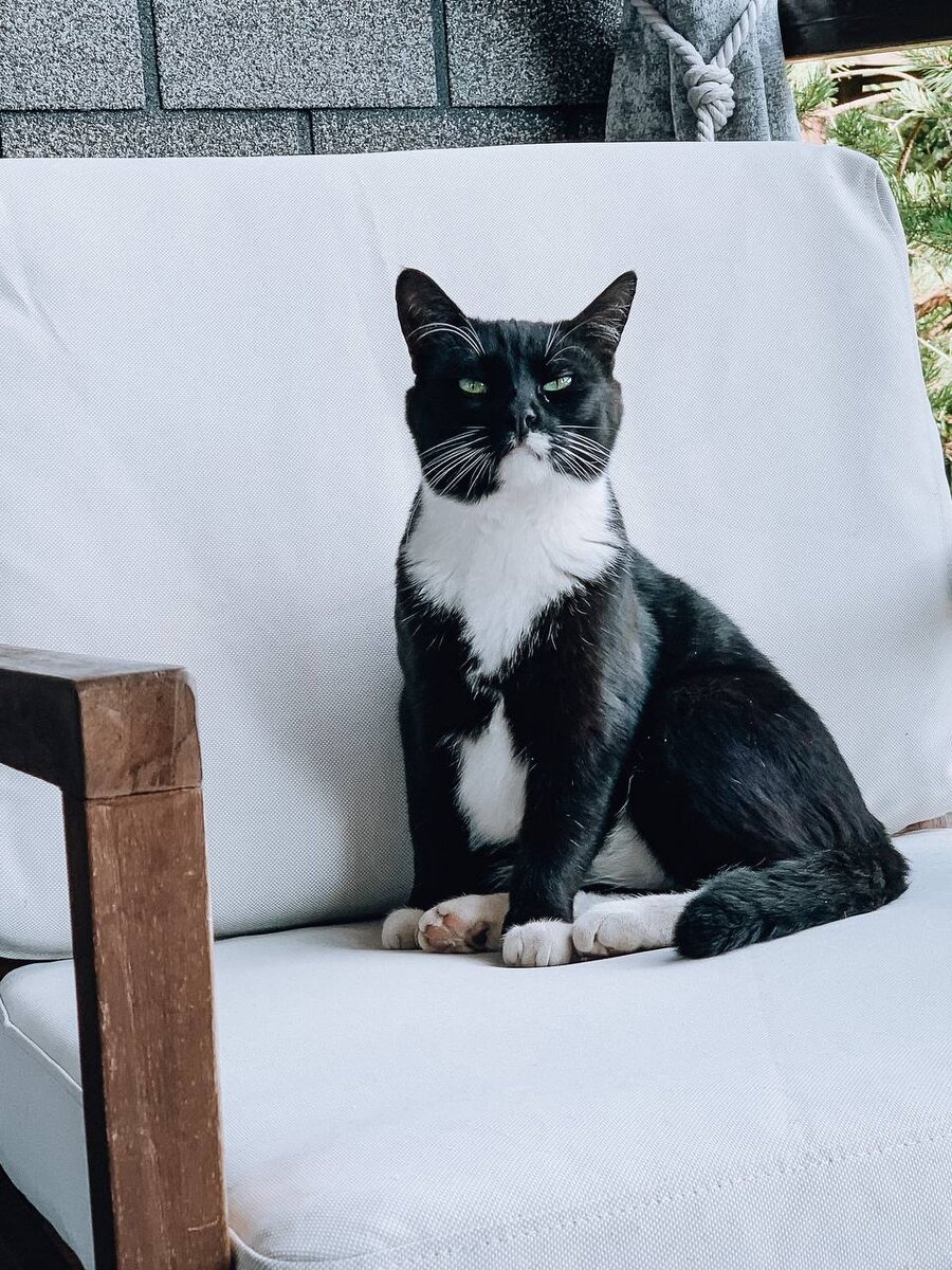 Необычный побег