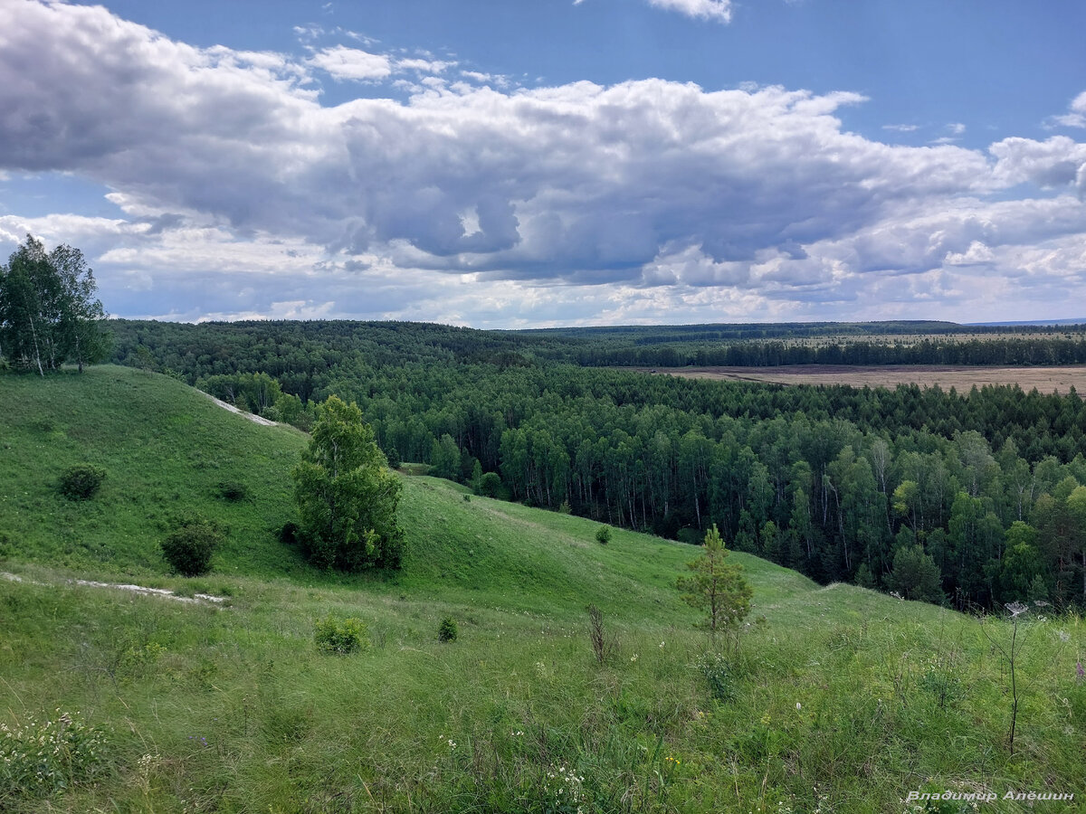 Вид с меловых гор. Фото автора