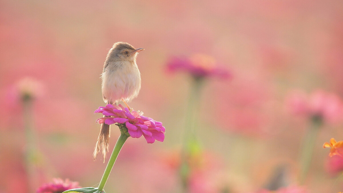 Это автор глядит глазами в будущее