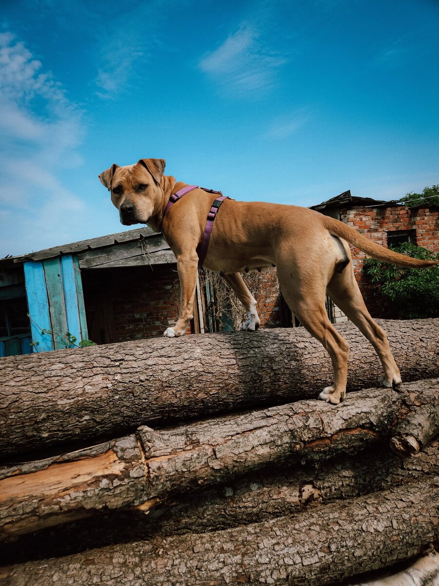 Личный архив