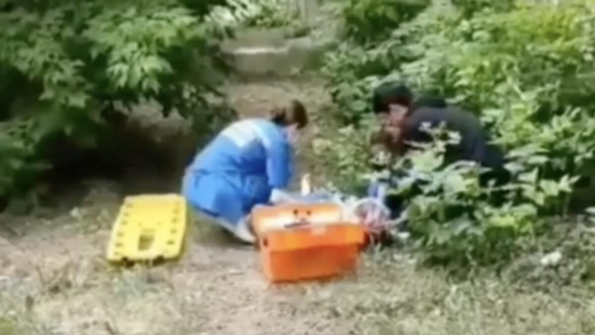    Фото: кадр из видео Рашид Ахмежанов
