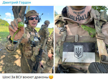 СКРИНШОТ: TELEGRAM/@DMYTROGORDON_OFFICIAL
