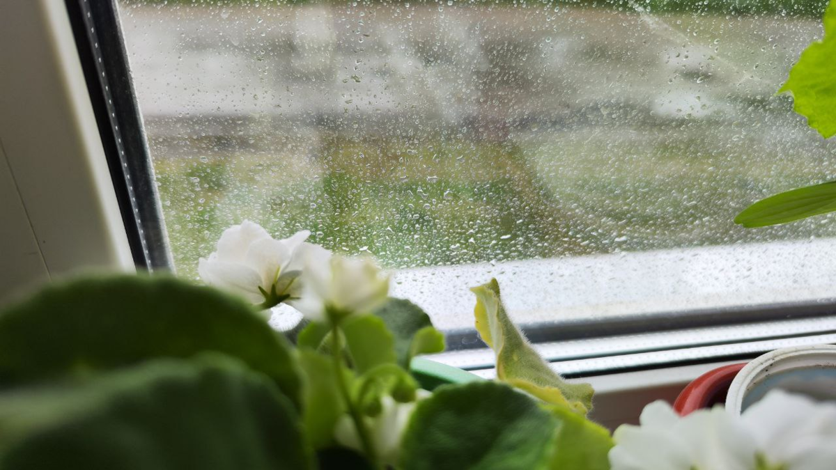 За окном дождь а в душе солнце. Стихи дождь за окном. В окно к любимой. За окном сегодня дождь а в душе вам солнышко.