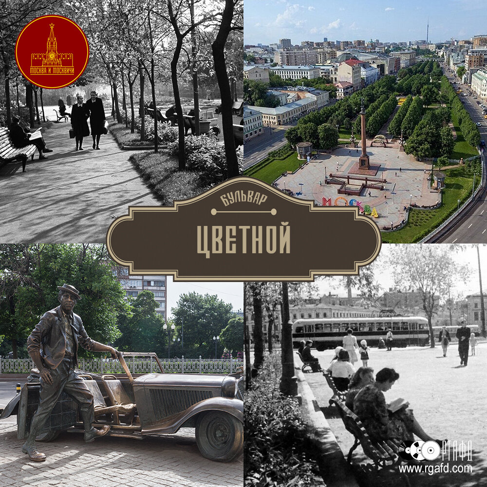Эволюция цветной бул 2 москва фото