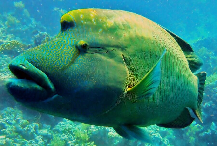     Фото: YayMicro/zloyel, PressFoto.ru