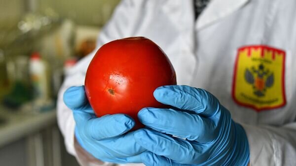    © Sputnik / Максим Блинов