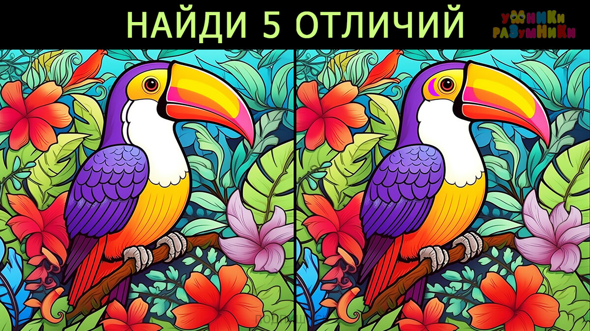 найди 5 отличий