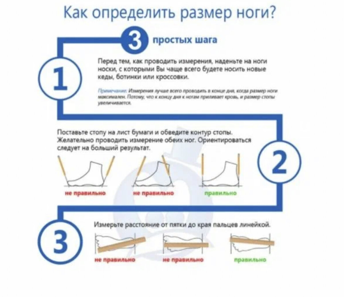 Покупка обуви в онлайн - магазине : Как выбрать правильный размер? |  Obyvka86: шаг за шагом | Дзен