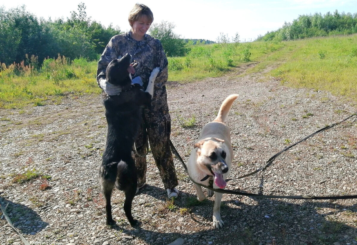Гектор , Найда с любимым волонтёром Галиной 