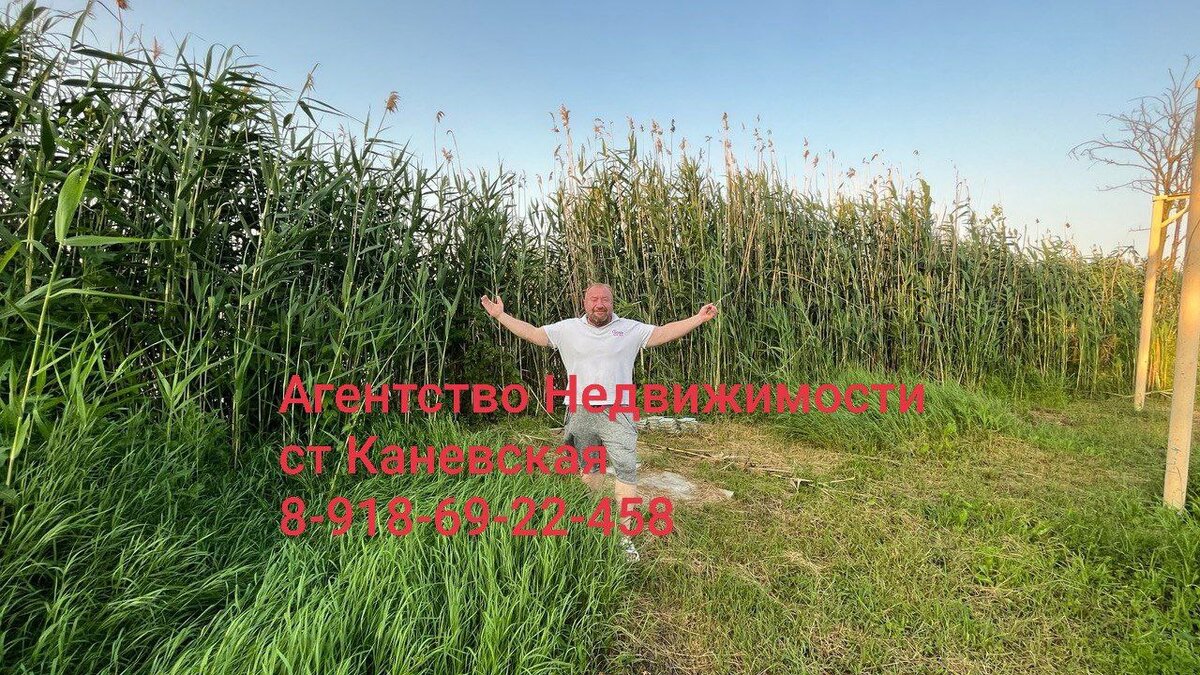 #риелтерканевская  #недвижимостьканевская  #агенствонедвижимостиканевская #риелтер #недвижимость #агенствонедвижимости #89186922458
