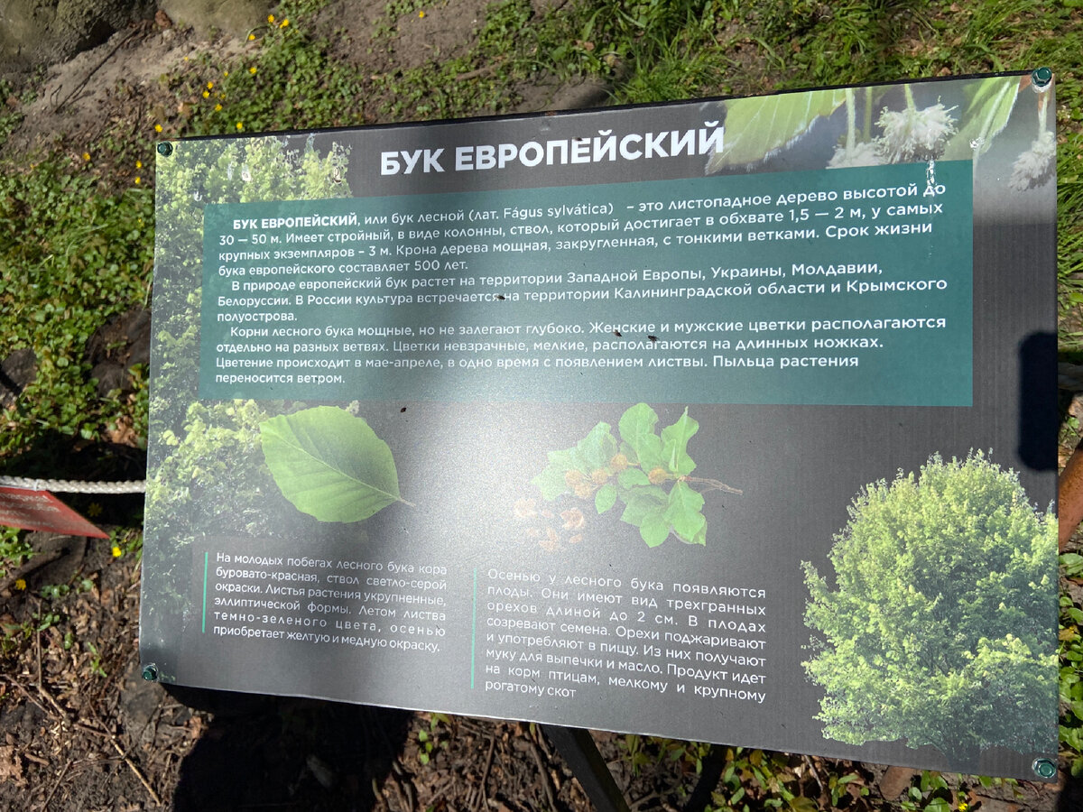 Фото фото из личного архива