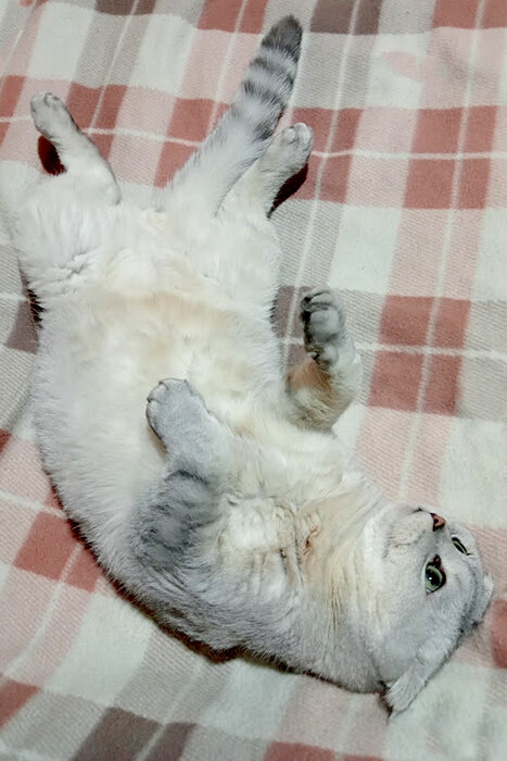 Было б где поспать (фото автора)