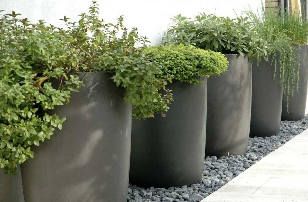 Источник фото: https://gardeniana.com/containergarden