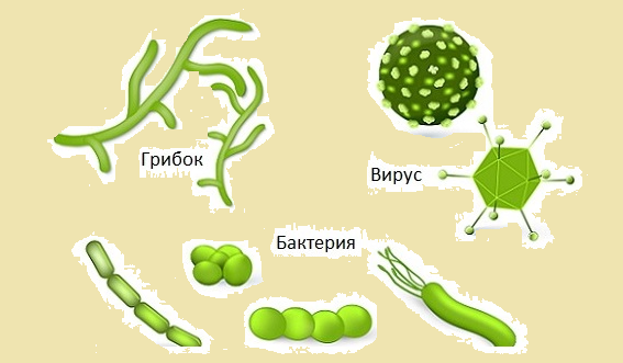 Схематично