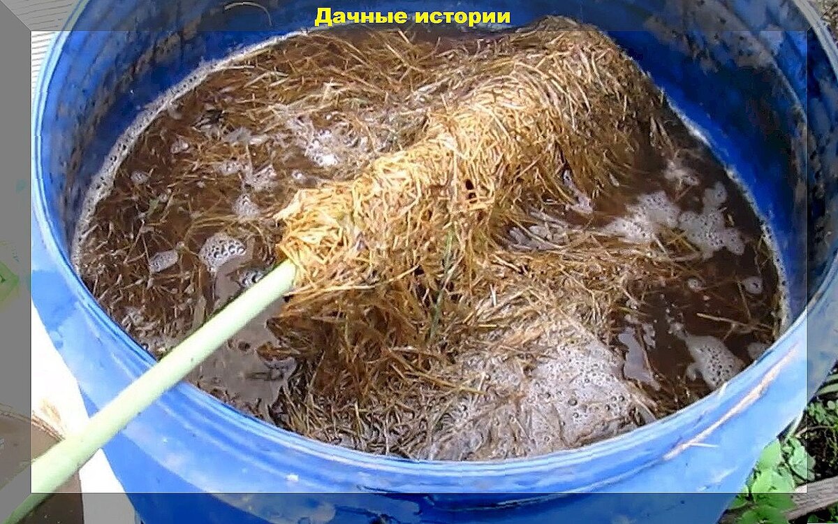 Сернокислый аммоний