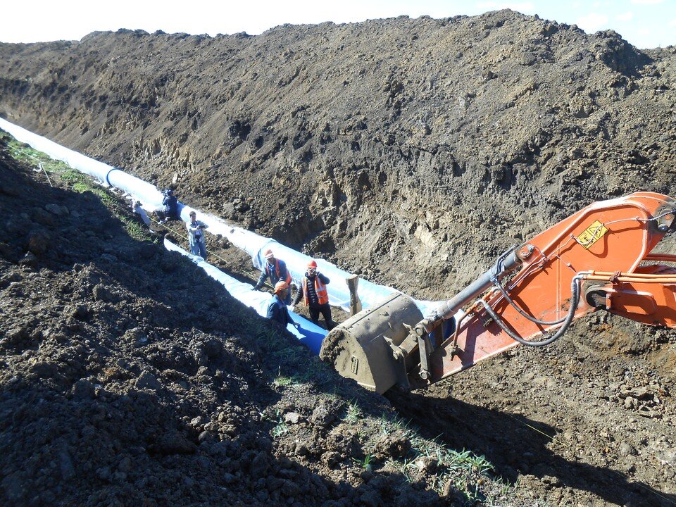   Анна КИРИЕНКО