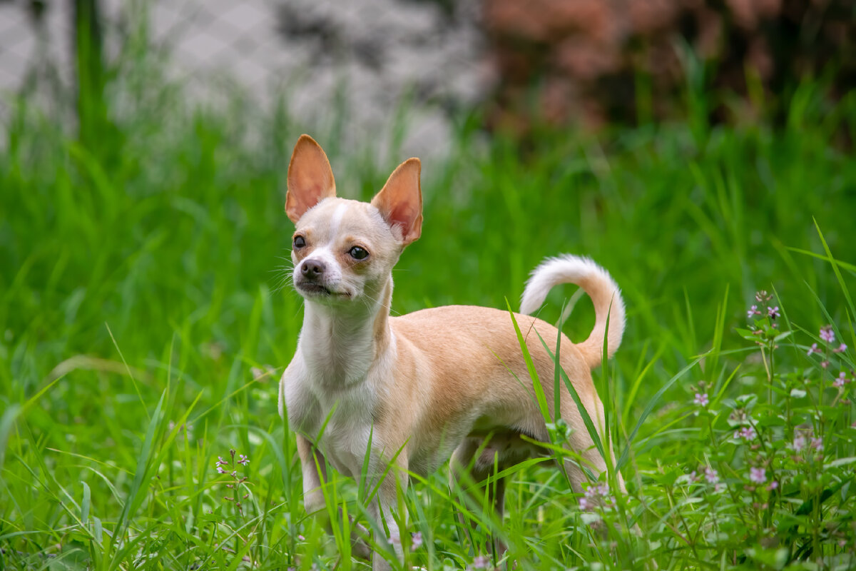 Photo by Jairo Alzate on Unsplash